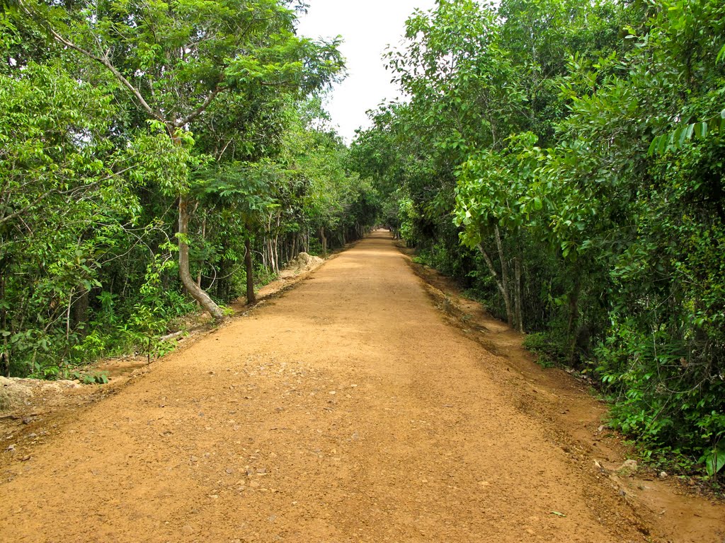 Камбоджа, Ангкор, Июнь 2010 / Cambodia, Angkor, June 2010 www.abcountries.com by proplanetu.ru