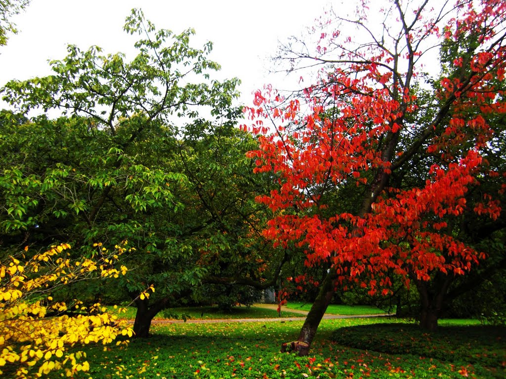 Herbstfarben by ArSchü