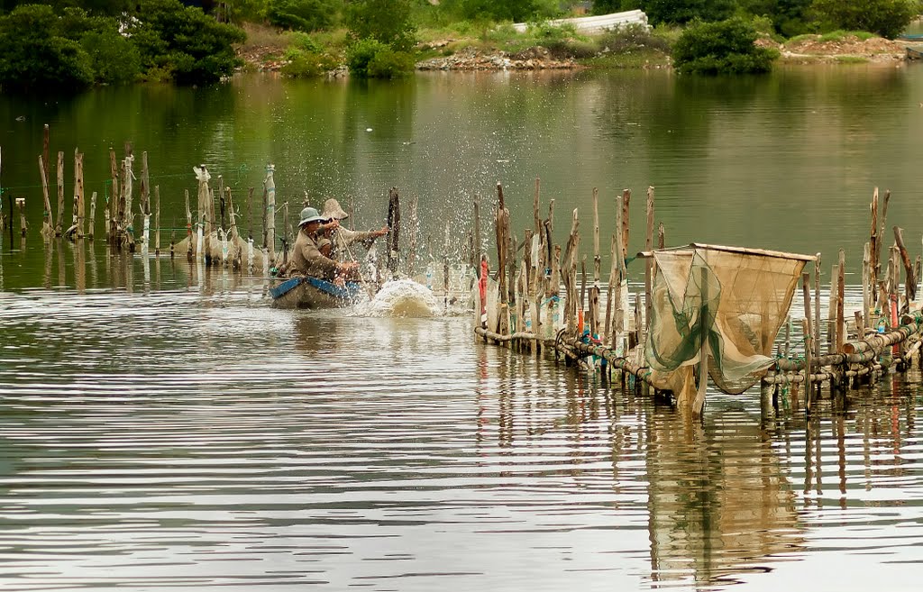 Cuộc Sống Quanh Ta by Thong Tmthong