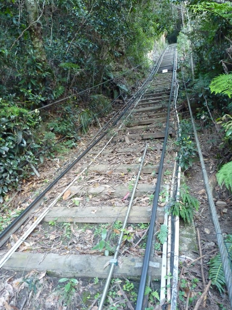 Blue mountains : rails de scenic world by sydig