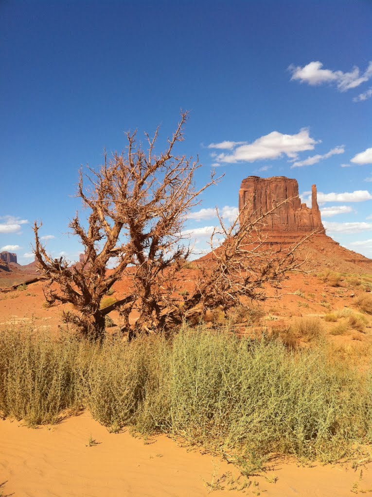 Navajo County, AZ, USA by e_morozov