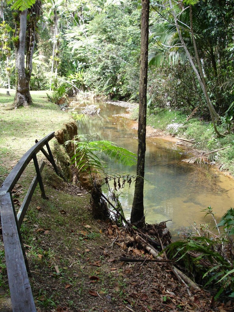 Charco azul river4 by Gabriel D'Attili