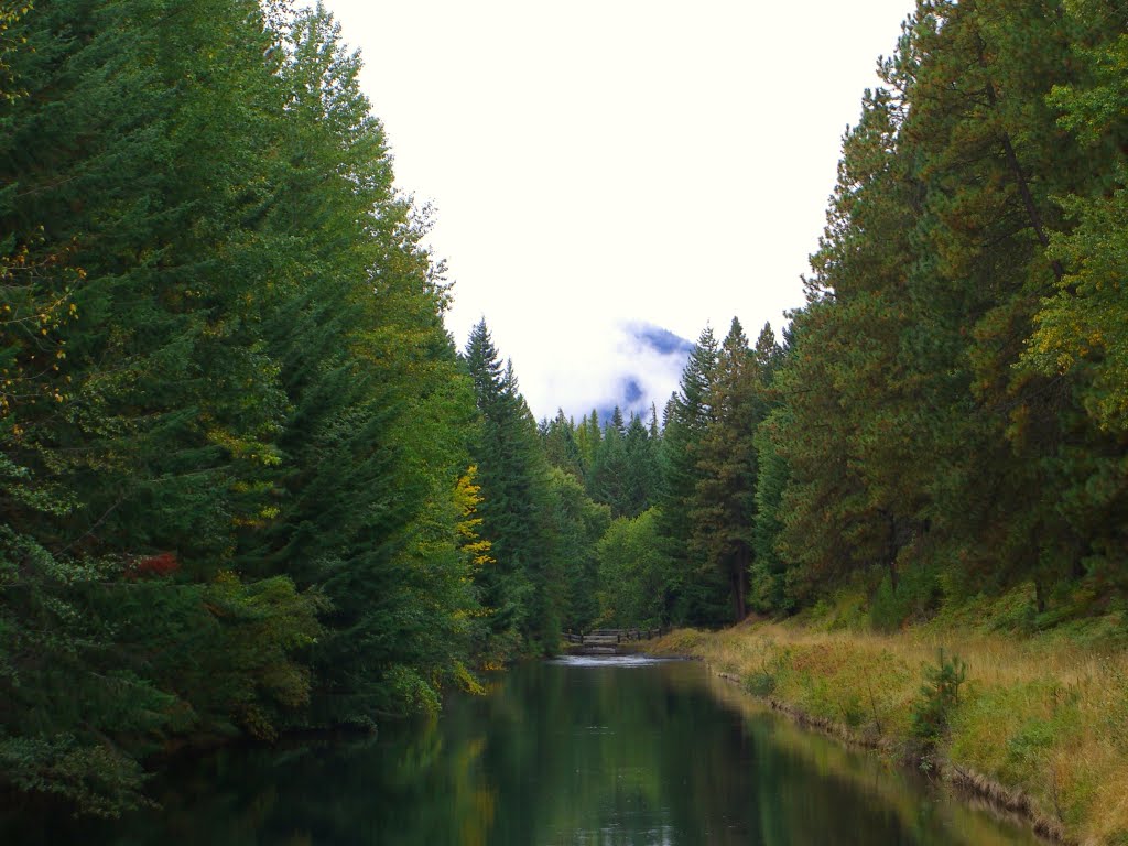 A creek that looked nice with a wooden bridge in the distance. by delightsnluv