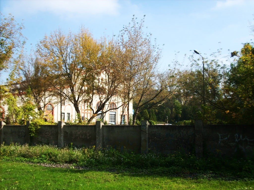 Holzplatz, Radwanderweg, 2010 by Jörg Hofmann