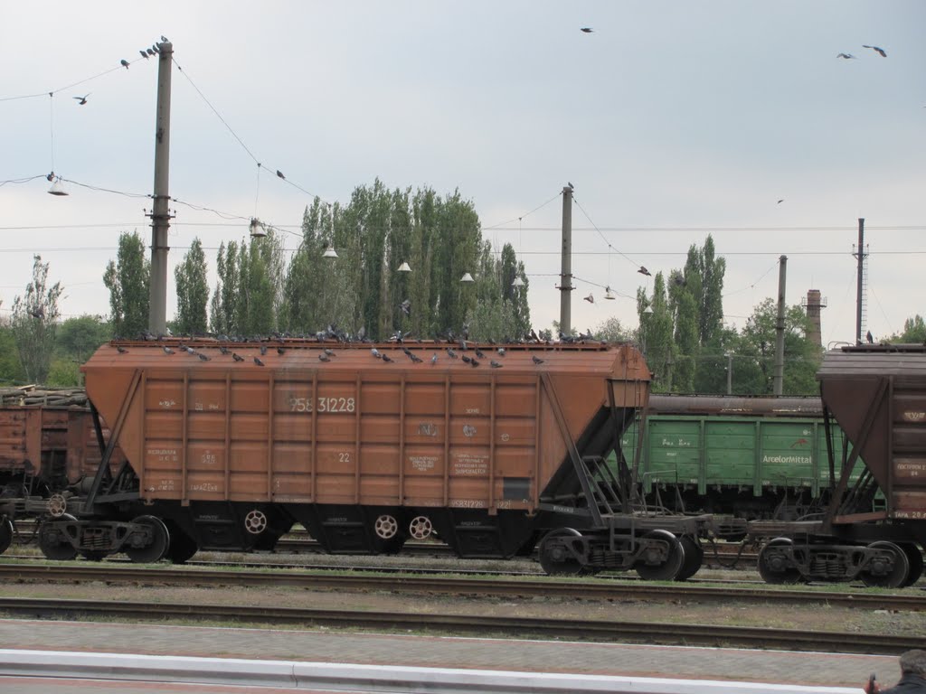 Freight wagon by Evgeniy Tr