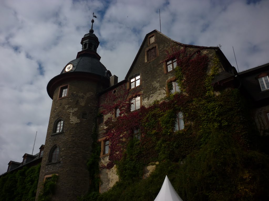 Schloss in Laubach (Herbstzauber) by Basti95