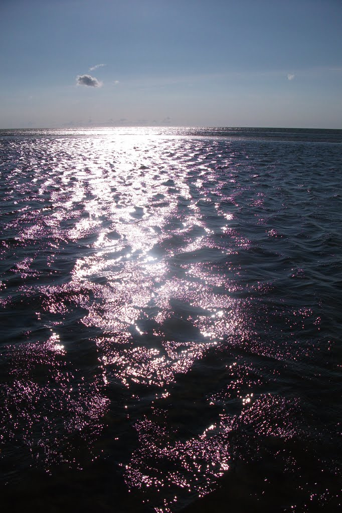 Skaket Beach, Cape Cod (07-2010) by olivella ferret