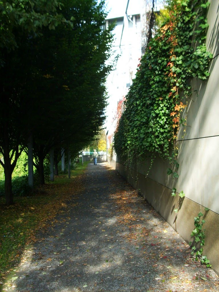 Herrenstraße, zur Spitze, 2010 by Jörg Hofmann