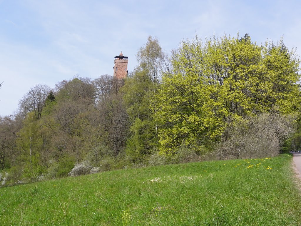 Burg Berwartstein by Waldemar Koch