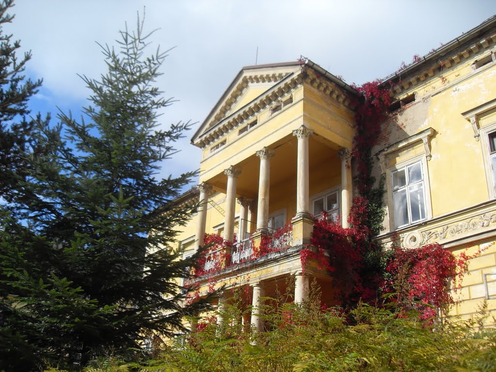 Marienbad by Egon Holz SAW