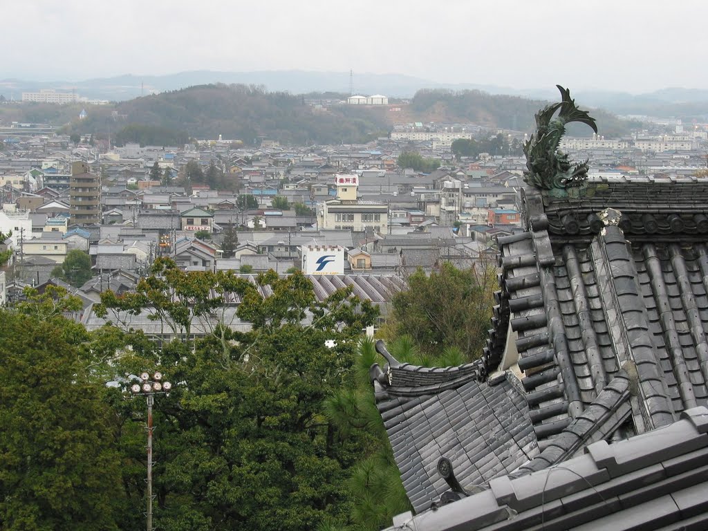 Iga Ueno Castle 伊賀上野城 by plumgarden