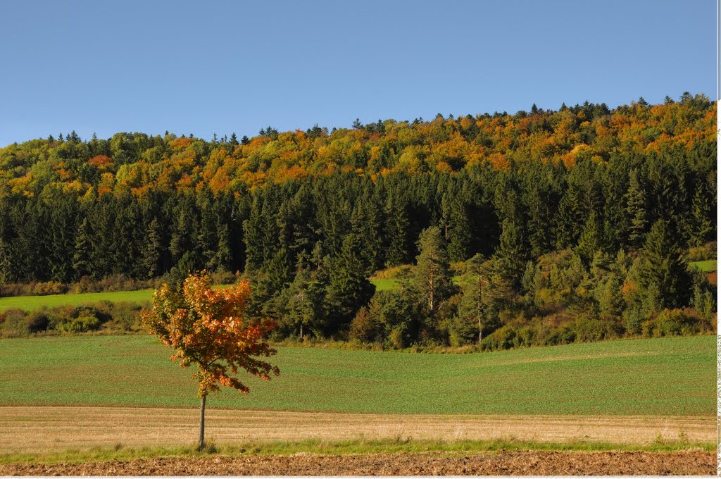 Herbstgefühle by Herbij