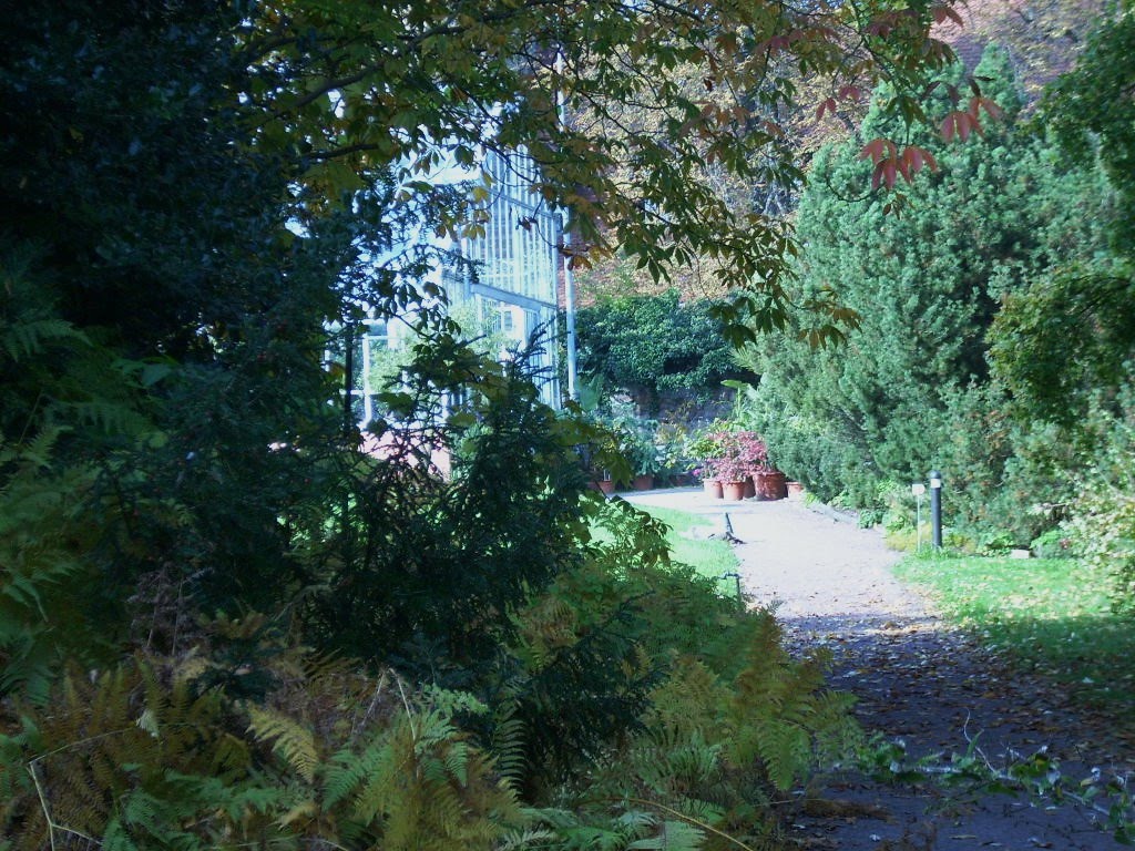 Botanischer Garten, 2010 by Jörg Hofmann