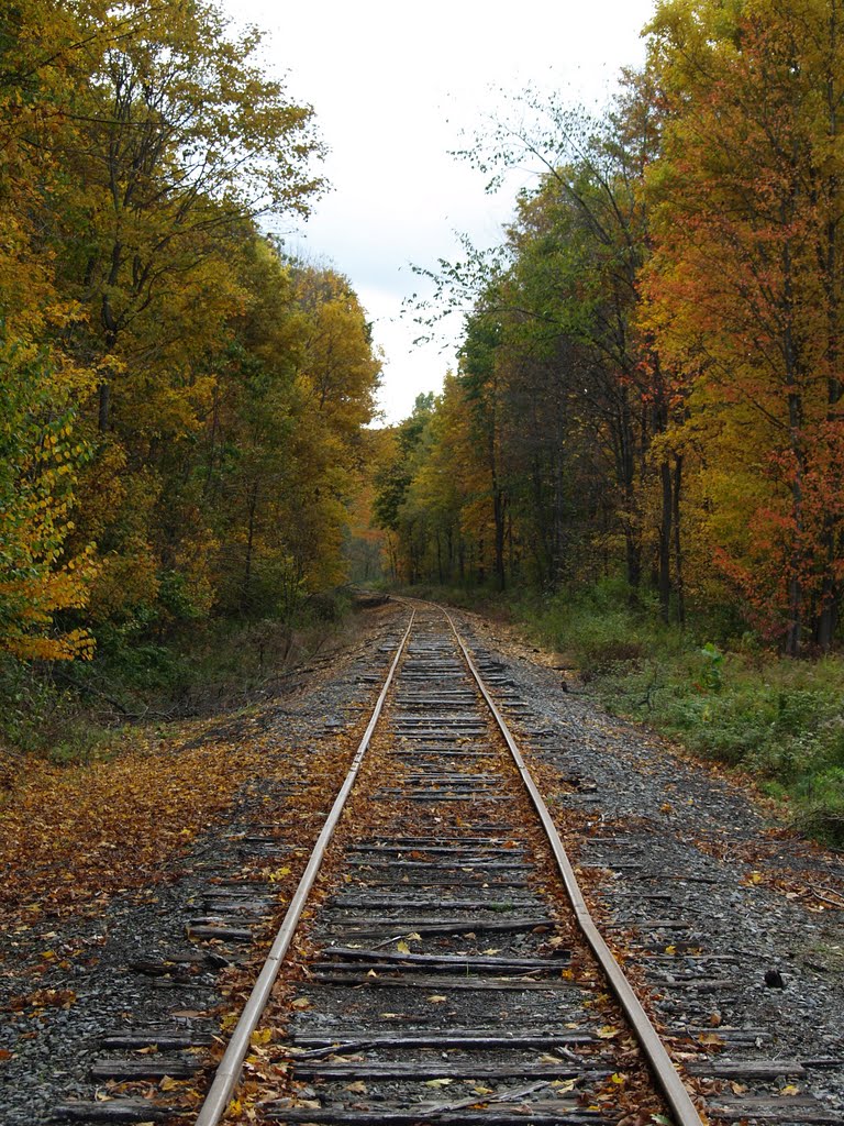 East Greenwich, NY in Autumn by ollievon