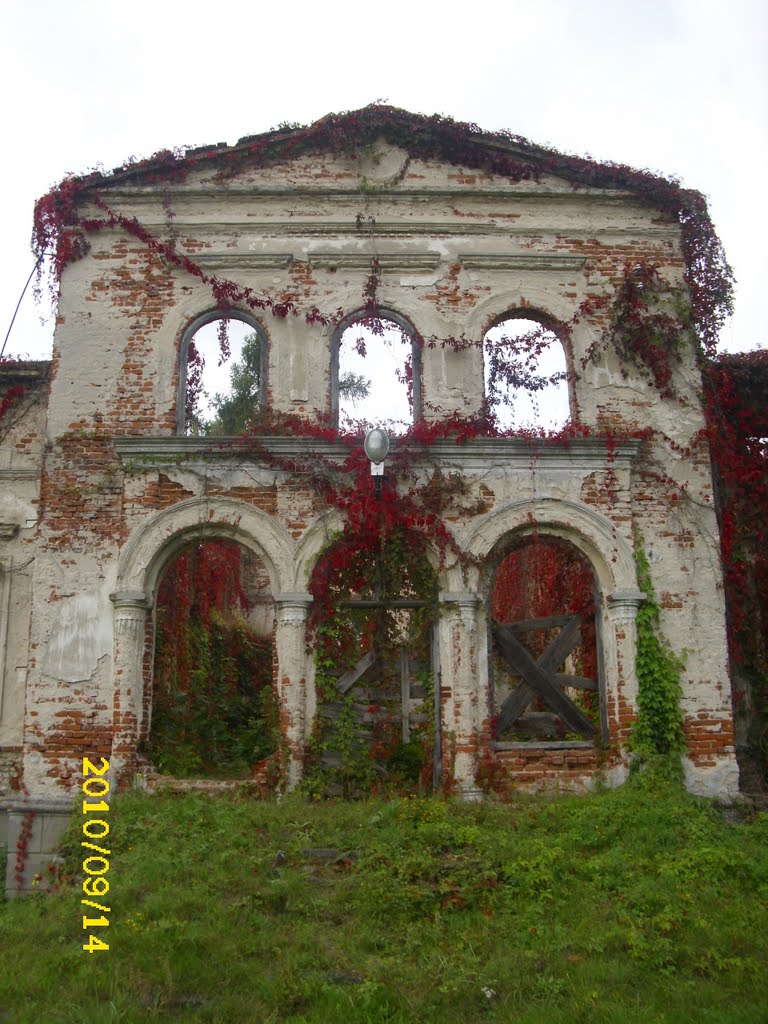 Poland, Wola-Przedmiejska, Dwor by aurorajolanda - NO VIEW!