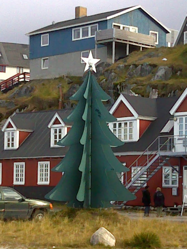 Grönland - der angeblich grösste Baum von Grönland steht in Nuuk by kaule