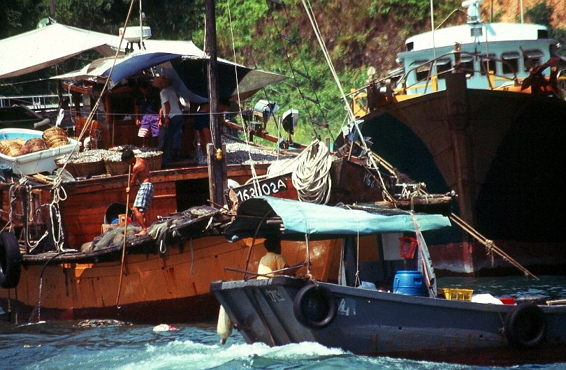 House boats in Aberdeen, Hong Kong. by Marcin Klocek - traveller.pl