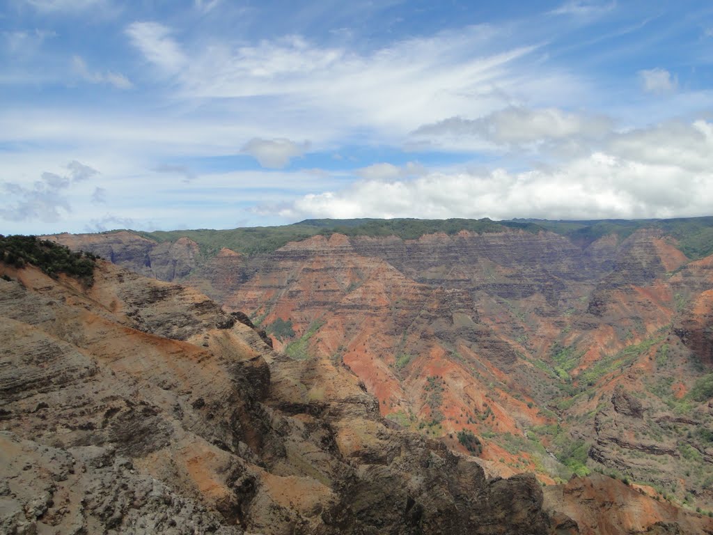 Waimea Canyon State Park, Kilauea, HI by Cappelle