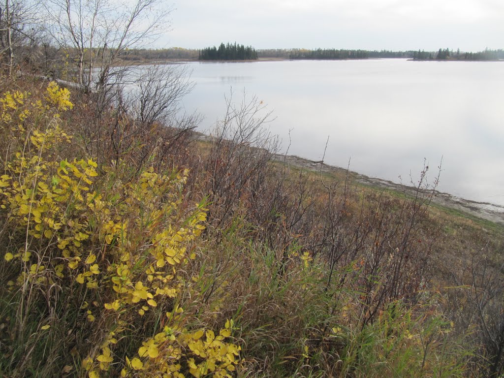 Golden Leaves Along Astotin Lake, Elk Island National Park, East of Edmonton Oct '10 by David Cure-Hryciuk