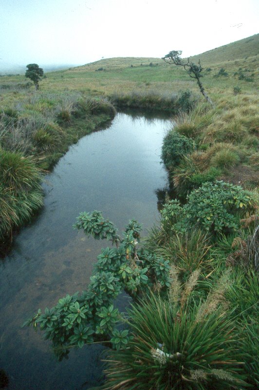 Horton plains, Sri Lanka. by Marcin Klocek (trave…