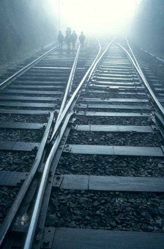 Rail tracks on misty morning in Haputale, Sri Lanka. by Marcin Klocek - traveller.pl