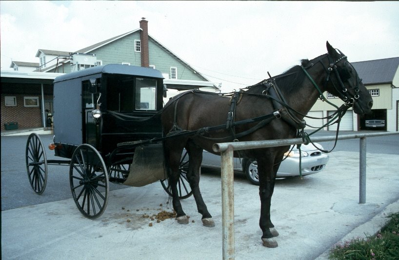 Amish horse cart, Lancaster Count, Pensylvania, USA. by Marcin Klocek (trave…