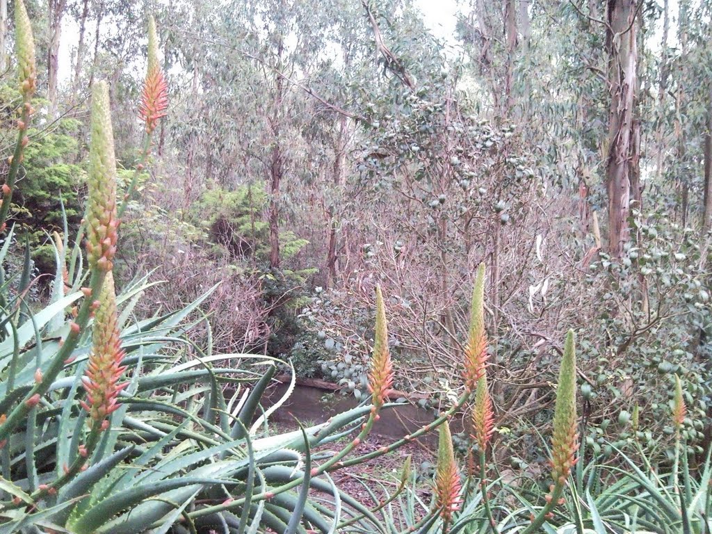 Sierra de los Padres, Buenos Aires Province, Argentina by Andrés Galardo