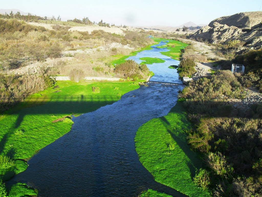 RIO HUASCO by Rene Ossandon Pizarro