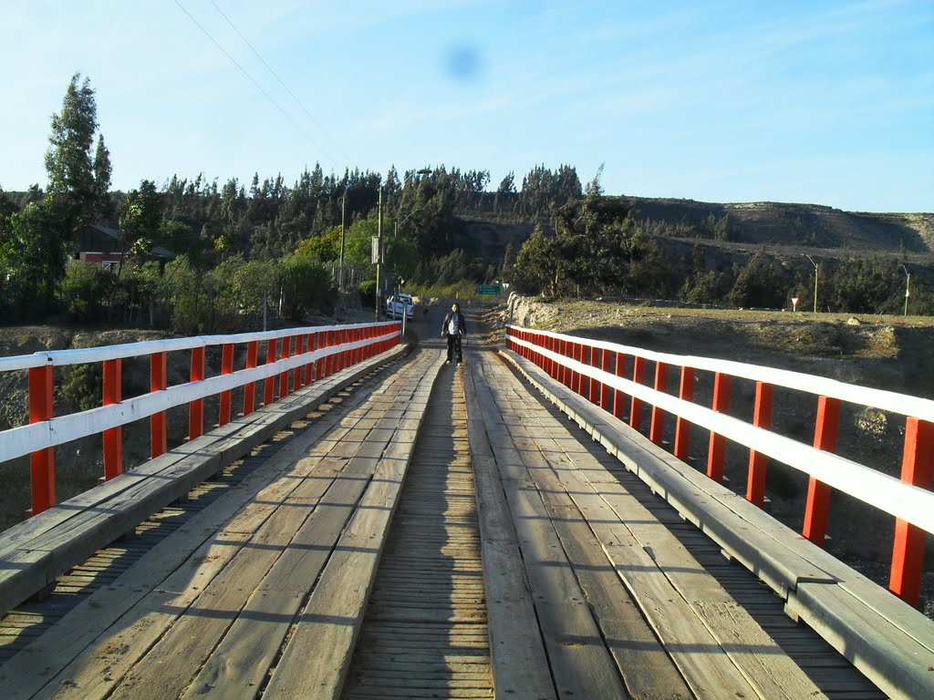 Puente "Nicolasa" by Rene Ossandon Pizarro