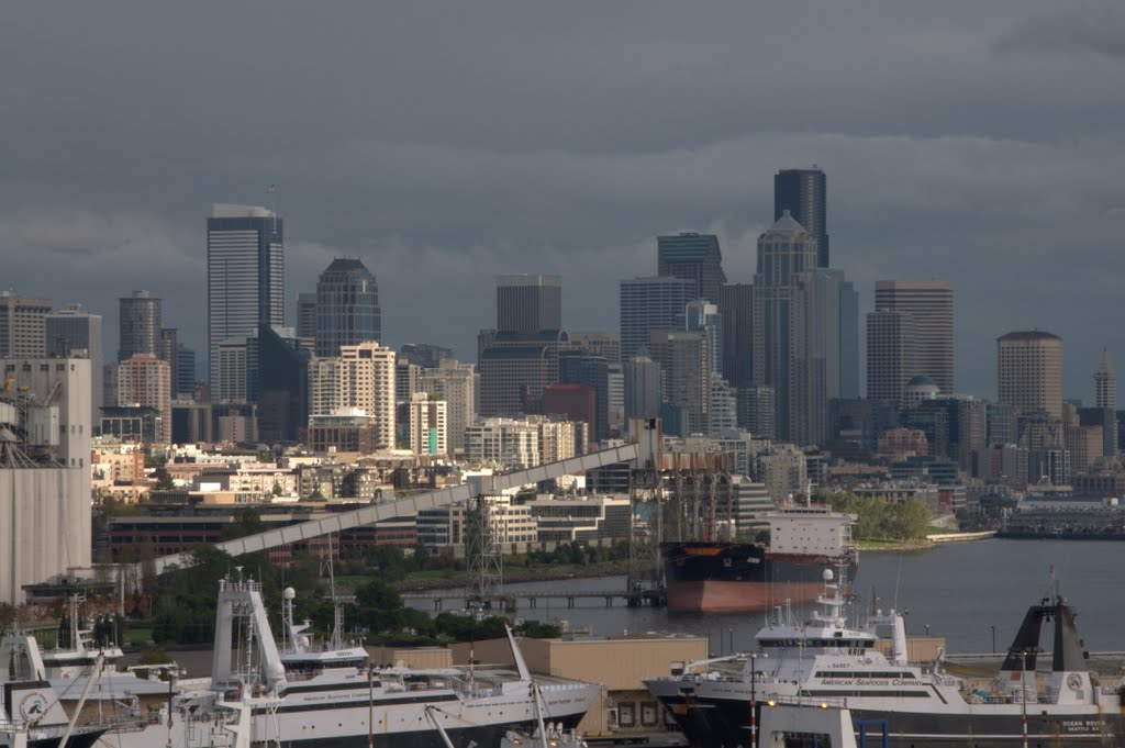 Seattle Skyline from South Cove Park by JZ