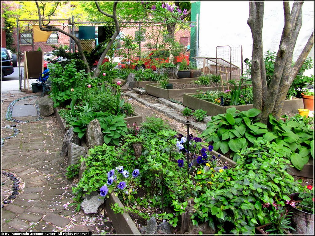 Dias y Flores Community Garden - 520 - 522 East 13th Street, NYC - April 2010 by LuciaM