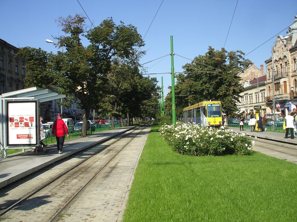 Arad tram... by George Marinescu