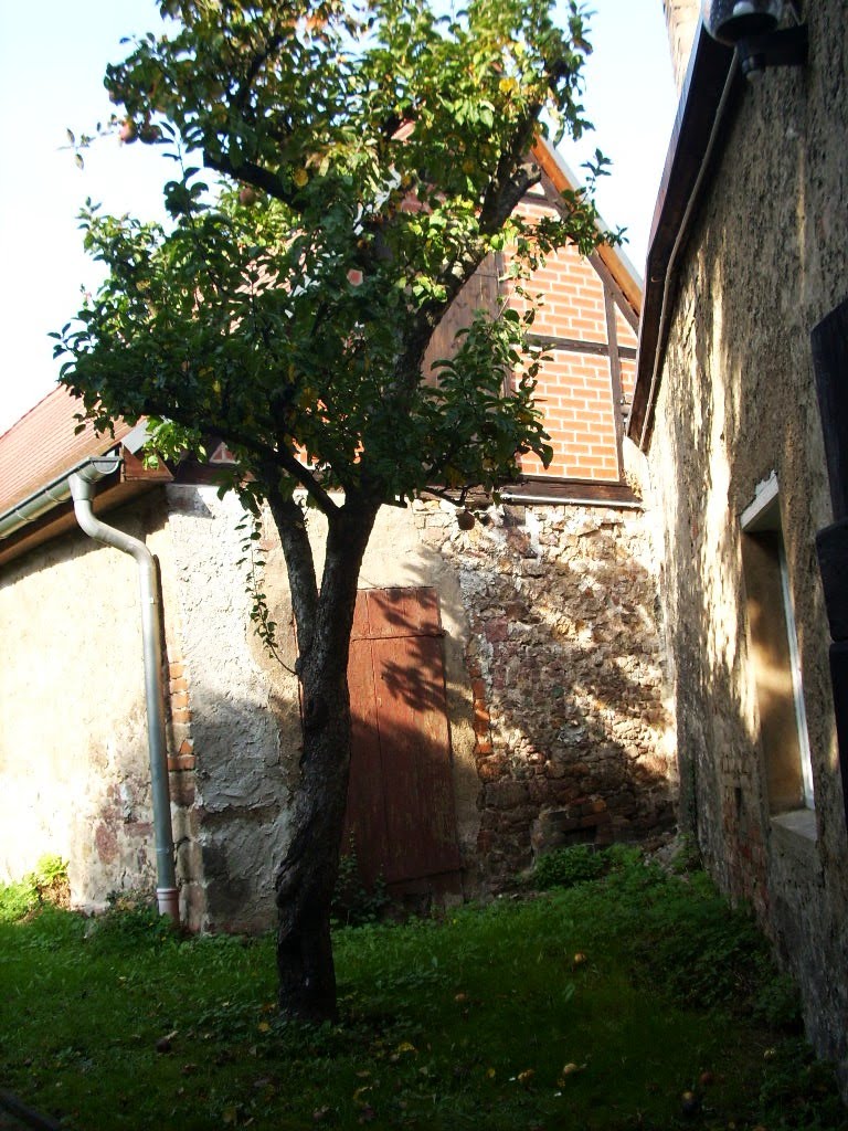 Botanischer Garten, Romantisch, 2010 by Jörg Hofmann