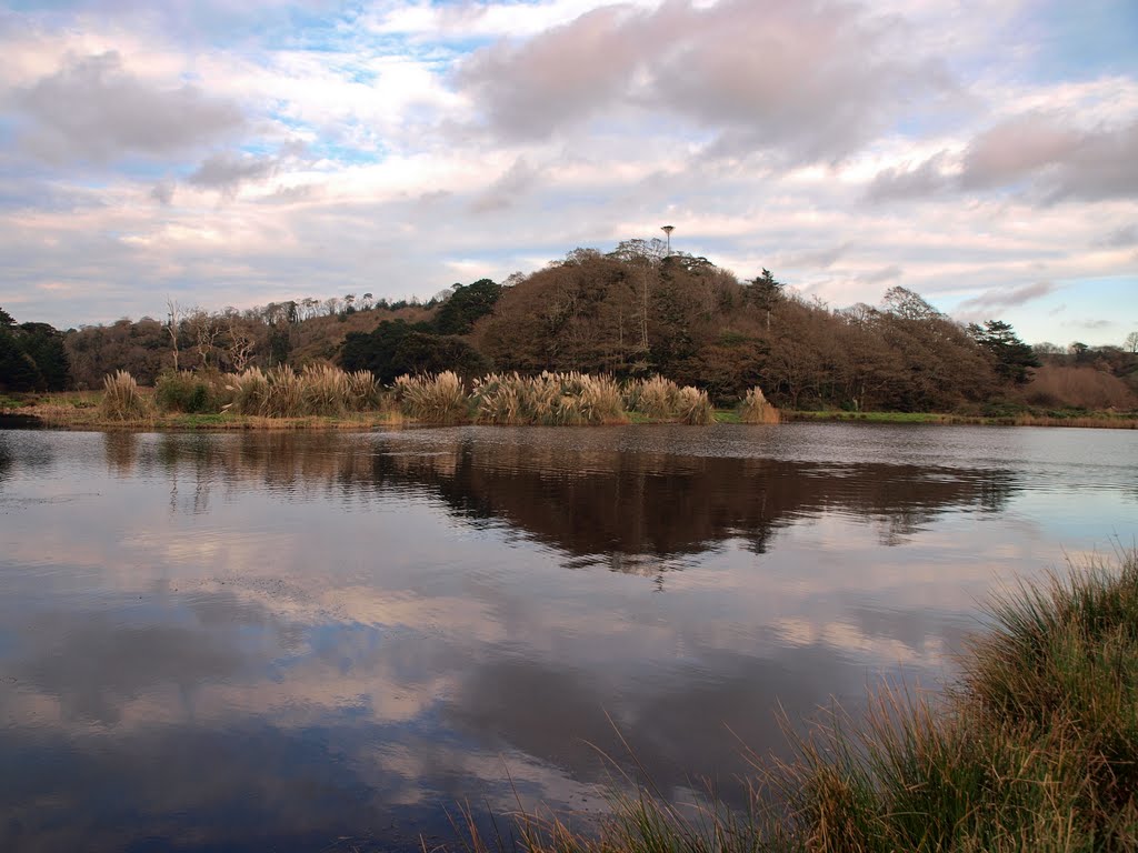 The lake at Caerhays Castle by Caerhays Estate