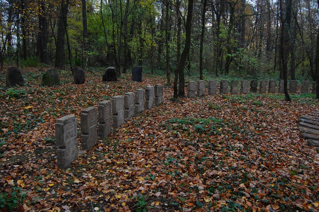 Old cemetery German and Russian soldiers fallen in Battle of Lodz (1914) by Dawid_M