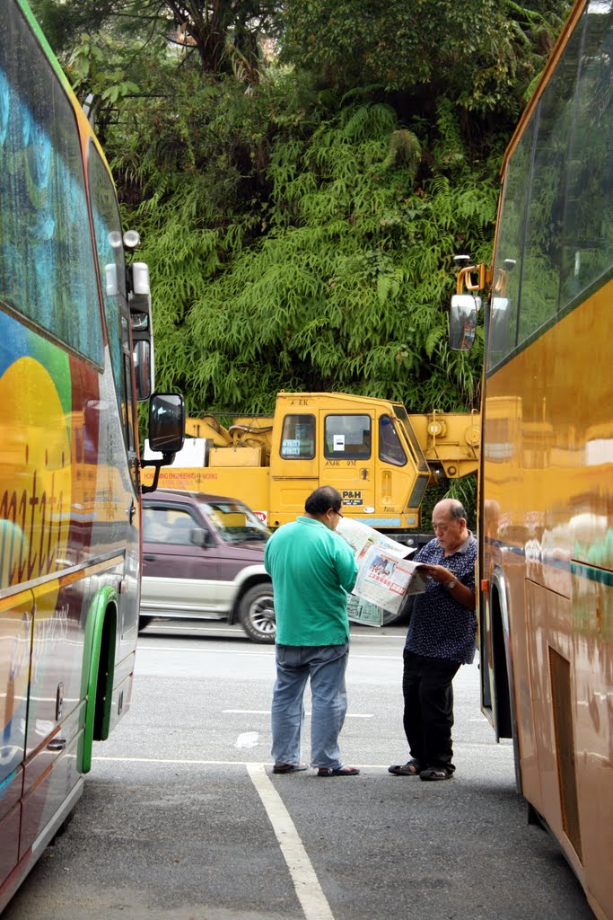 Tuorist Coaches @ Cameron Highlands by machmoedie