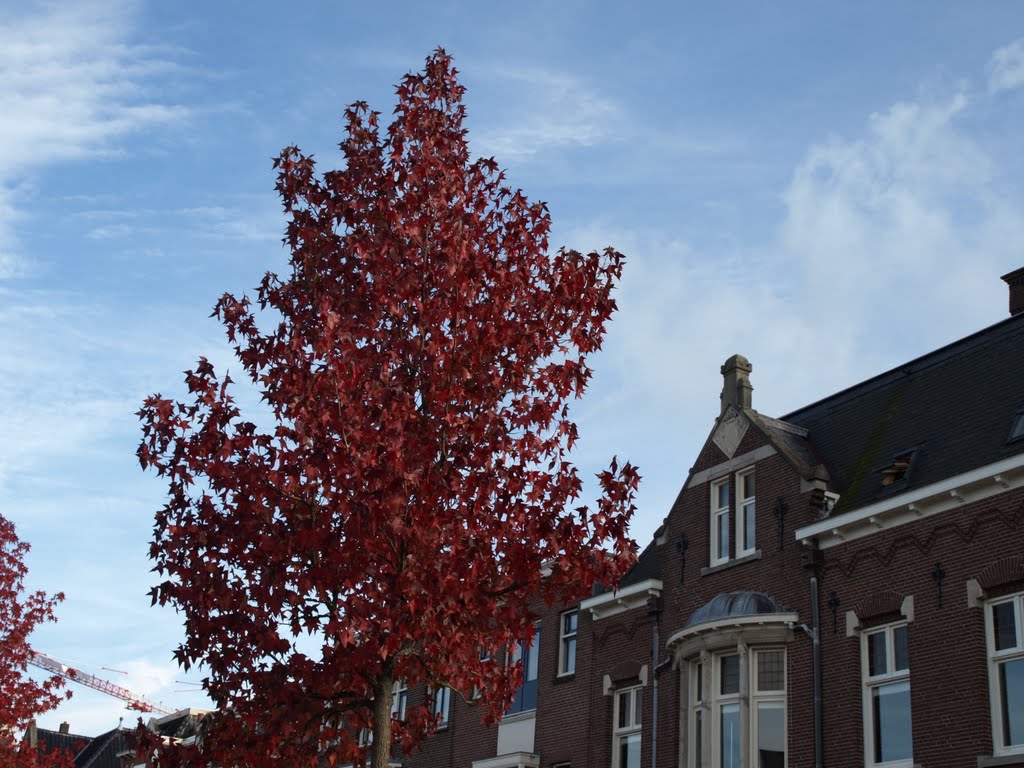 Herfst by Hans R. van der Woud…