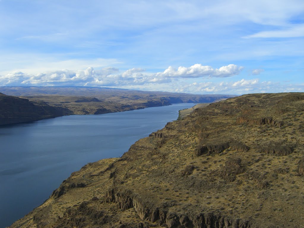 On the east side of the Columbia River in central Washington state. by delightsnluv