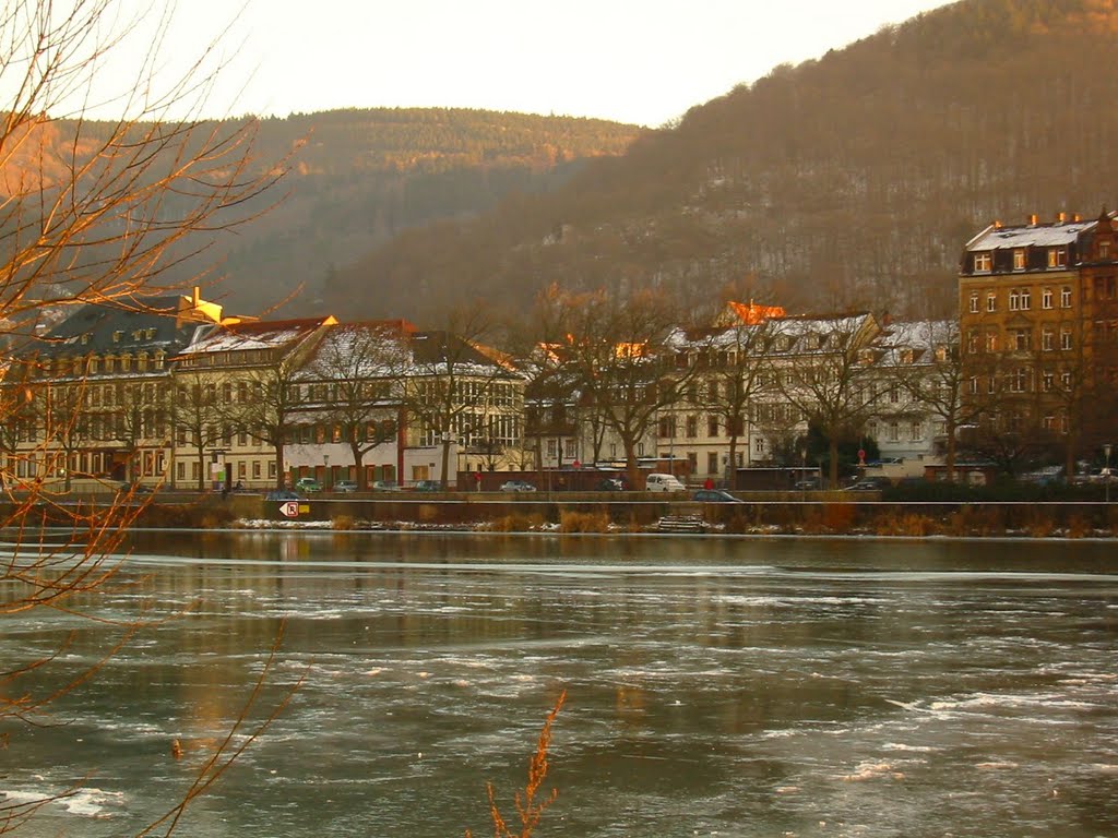 Januar 2009 frozen river by mroszewski