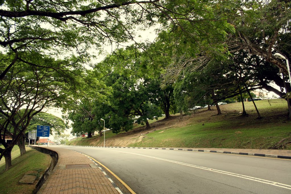 Shady Road in USM by machmoedie