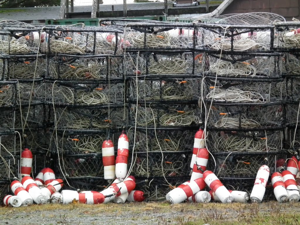 Crabtraps in Masset. by elisabeth.poscher