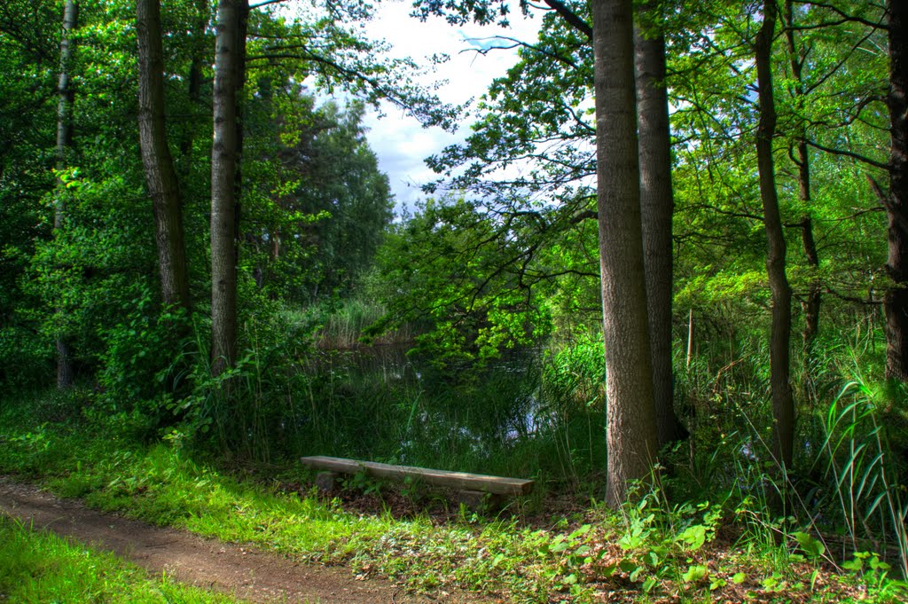 Naturschutzgebiet Niederspree by aluny