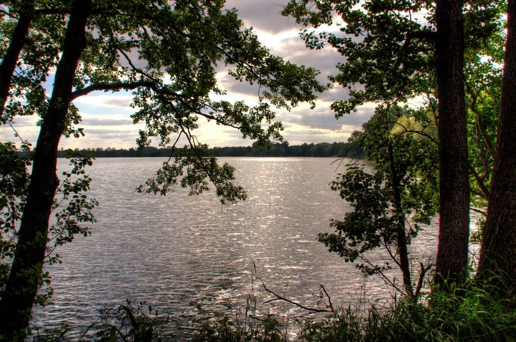 Naturschutzgebiet Niederspree by aluny