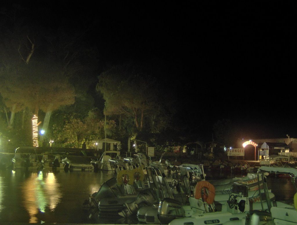 Corsica - Porto - the Port at night by jeffwarder