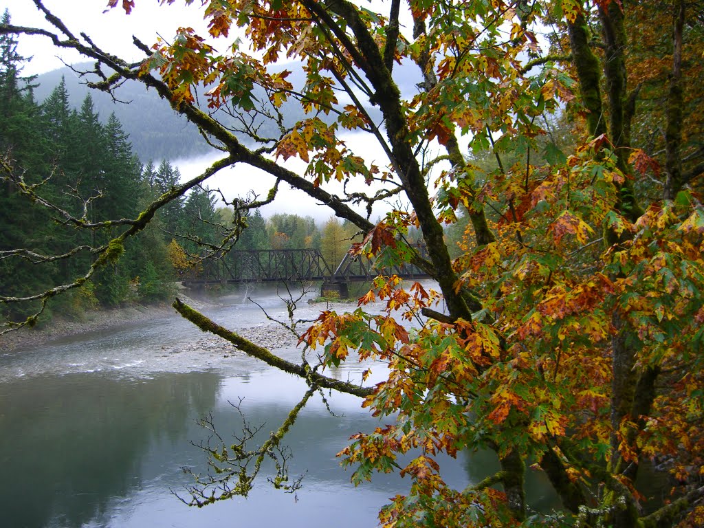 Skykomish River on the Money Creek Bridge by delightsnluv