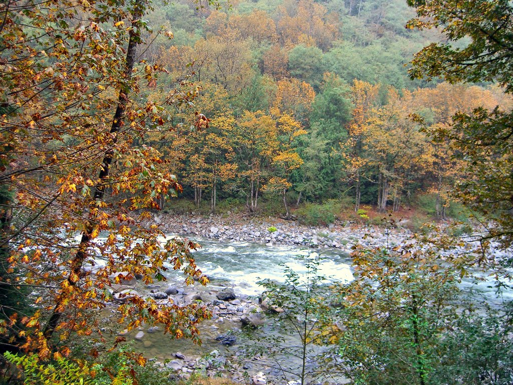 Skykomish river near Gold Bar, Washington by delightsnluv