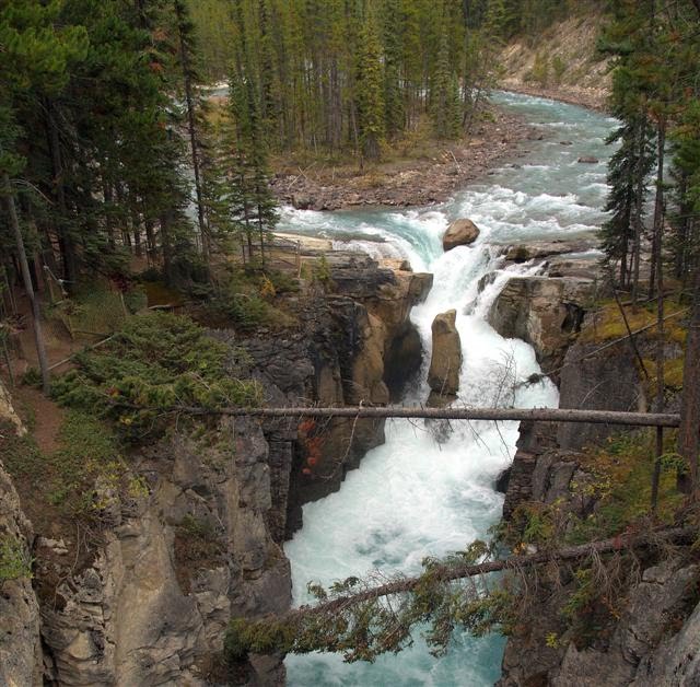 Sunwapta Falls (upper), Jasper National Park by raynorshine