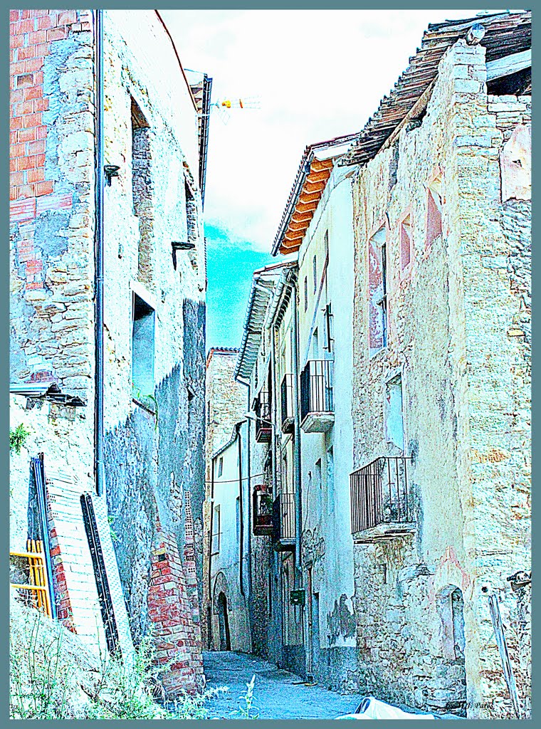 UN CARRER DE CONQUES by M.J. PARES