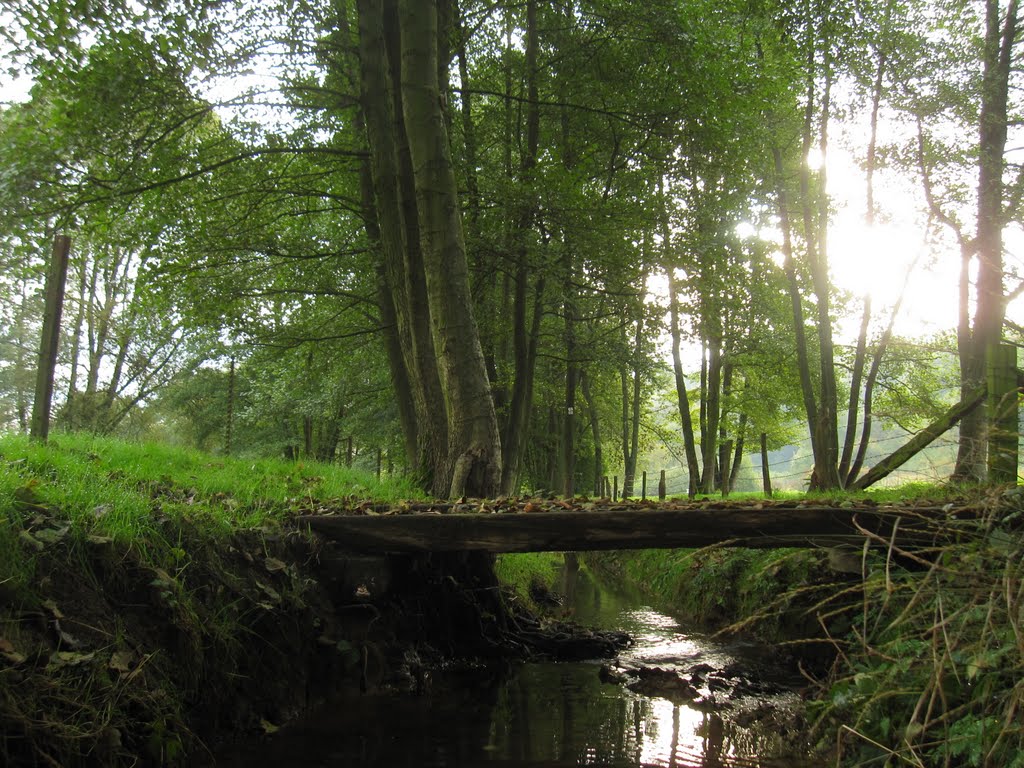 Le ruisseau des écrevisses à Ranguevaux by Alchimistemoderne