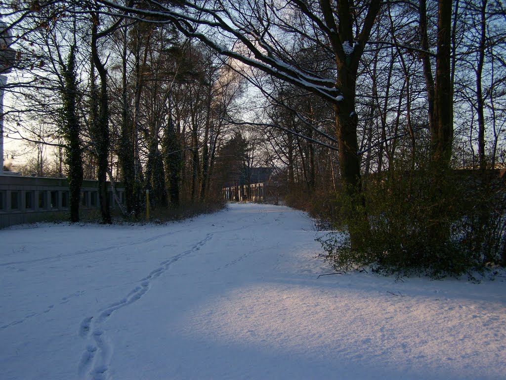 Alte Gleisstrecke am Hannover Airport .. 2009 by JensB2001